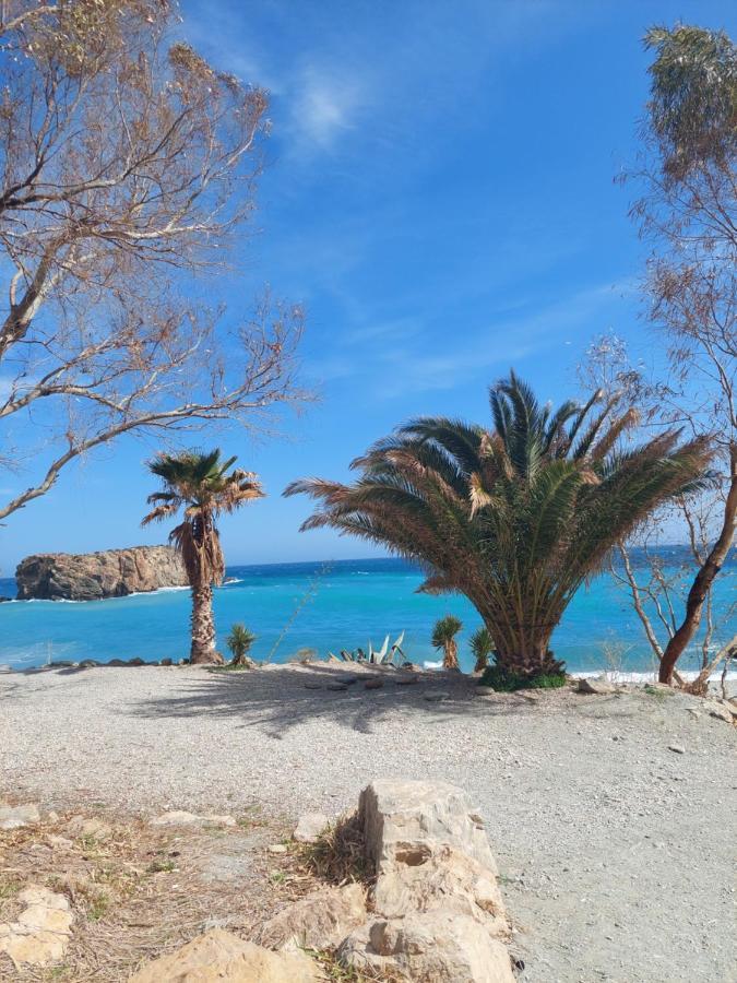 Casa Palma Daire Albunol Dış mekan fotoğraf